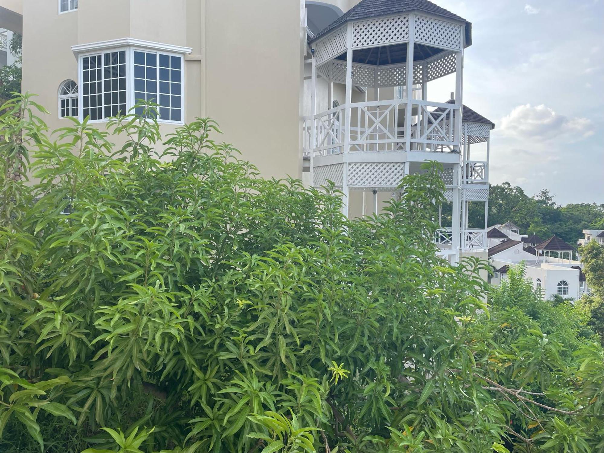 Oceanbreeze Jamaica Penthouse, 7-Minute Walk To Beach Ocho Ríos Exterior foto
