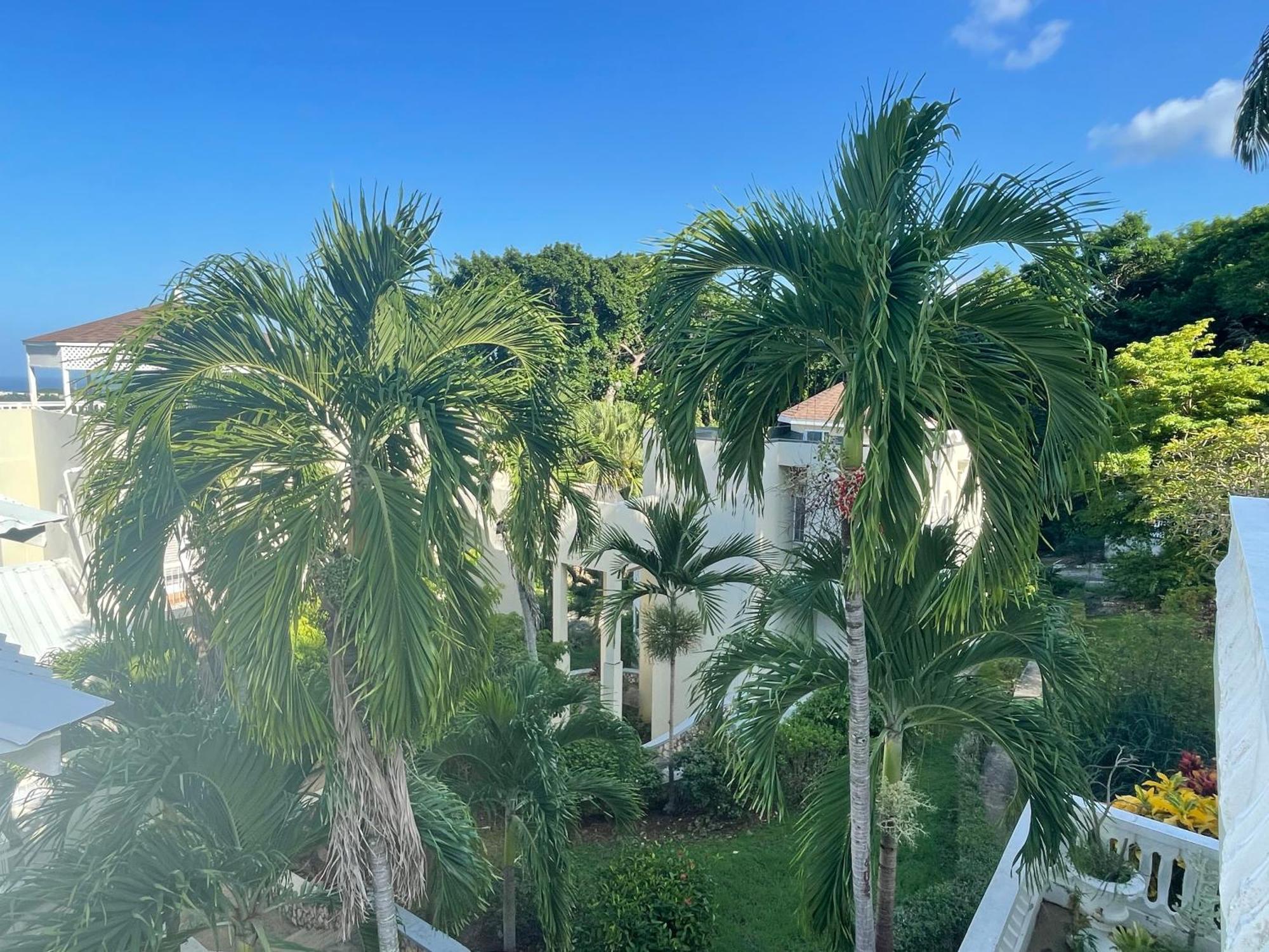 Oceanbreeze Jamaica Penthouse, 7-Minute Walk To Beach Ocho Ríos Exterior foto