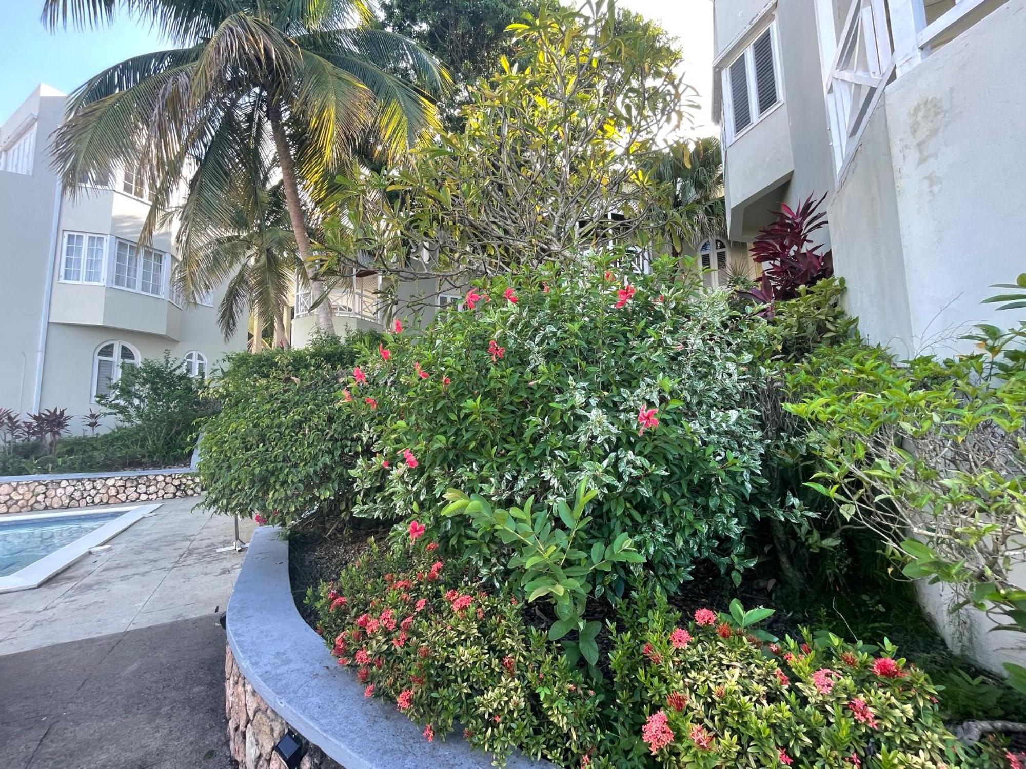 Oceanbreeze Jamaica Penthouse, 7-Minute Walk To Beach Ocho Ríos Exterior foto